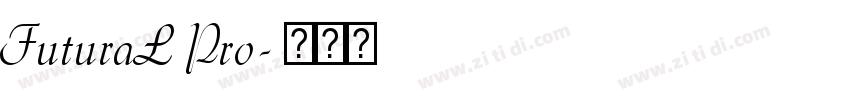 FuturaL Pro字体转换